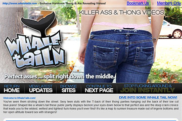 Visit Whale Tail'n